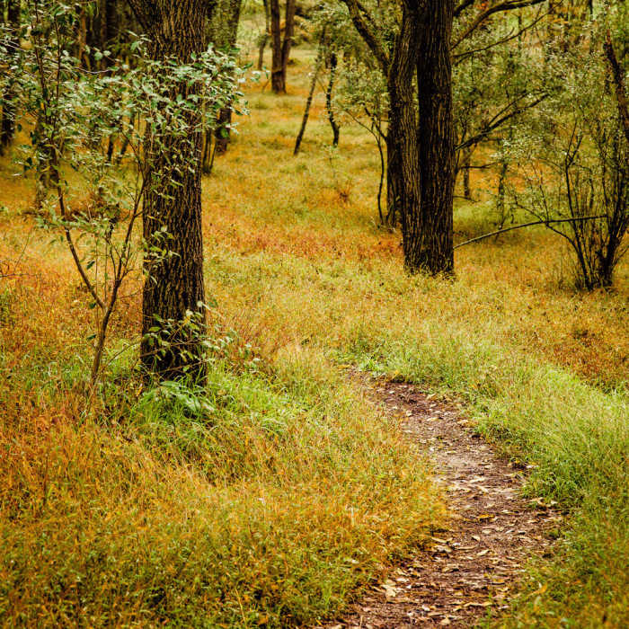 Following the trail Near Trexler Border Trail