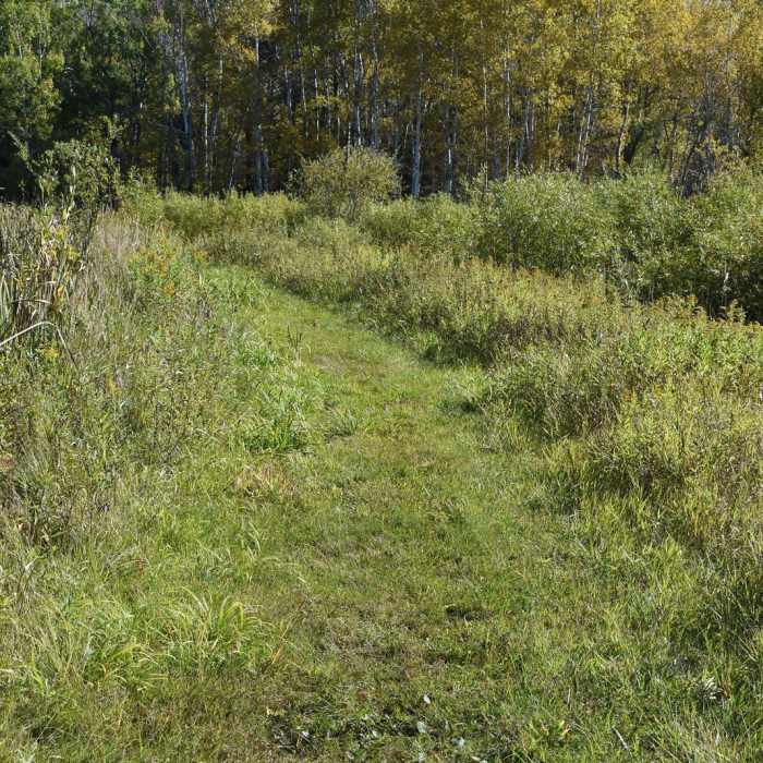 Near Oswald Viewing Platform via the North Country Trail Near Oswald Viewing Platform via the North Country Trail