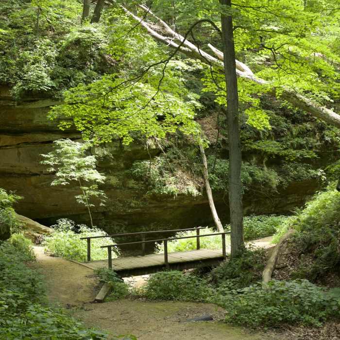 Near Punch Bowl Trail