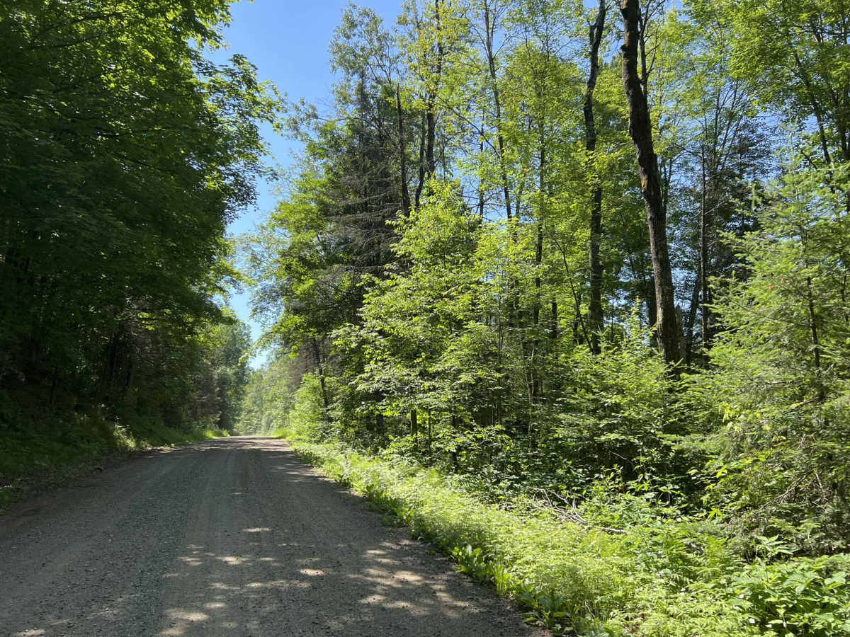 Peshtigo River Road - FS 2131 photo 4
