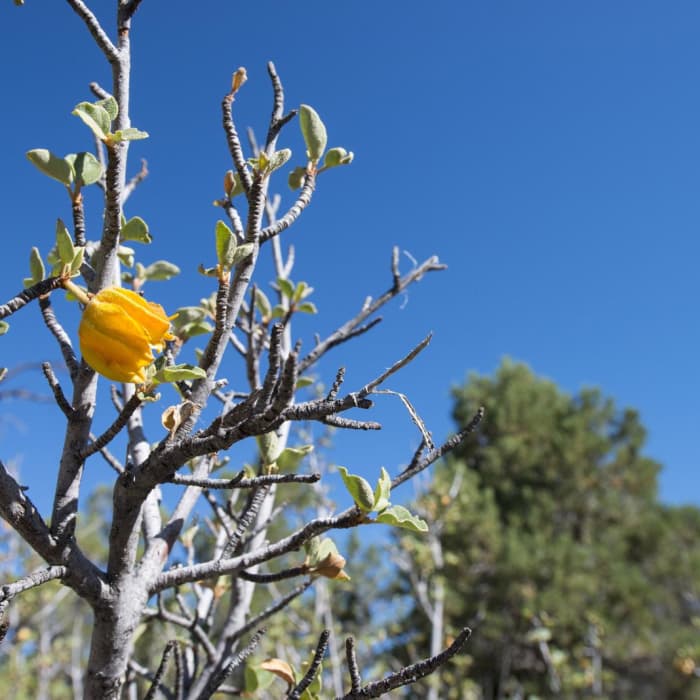 Near Bertha Peak Hike