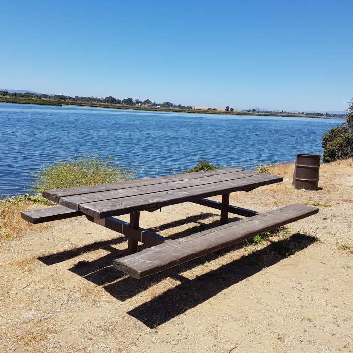 Near Martin Luther King Jr. Regional Shoreline