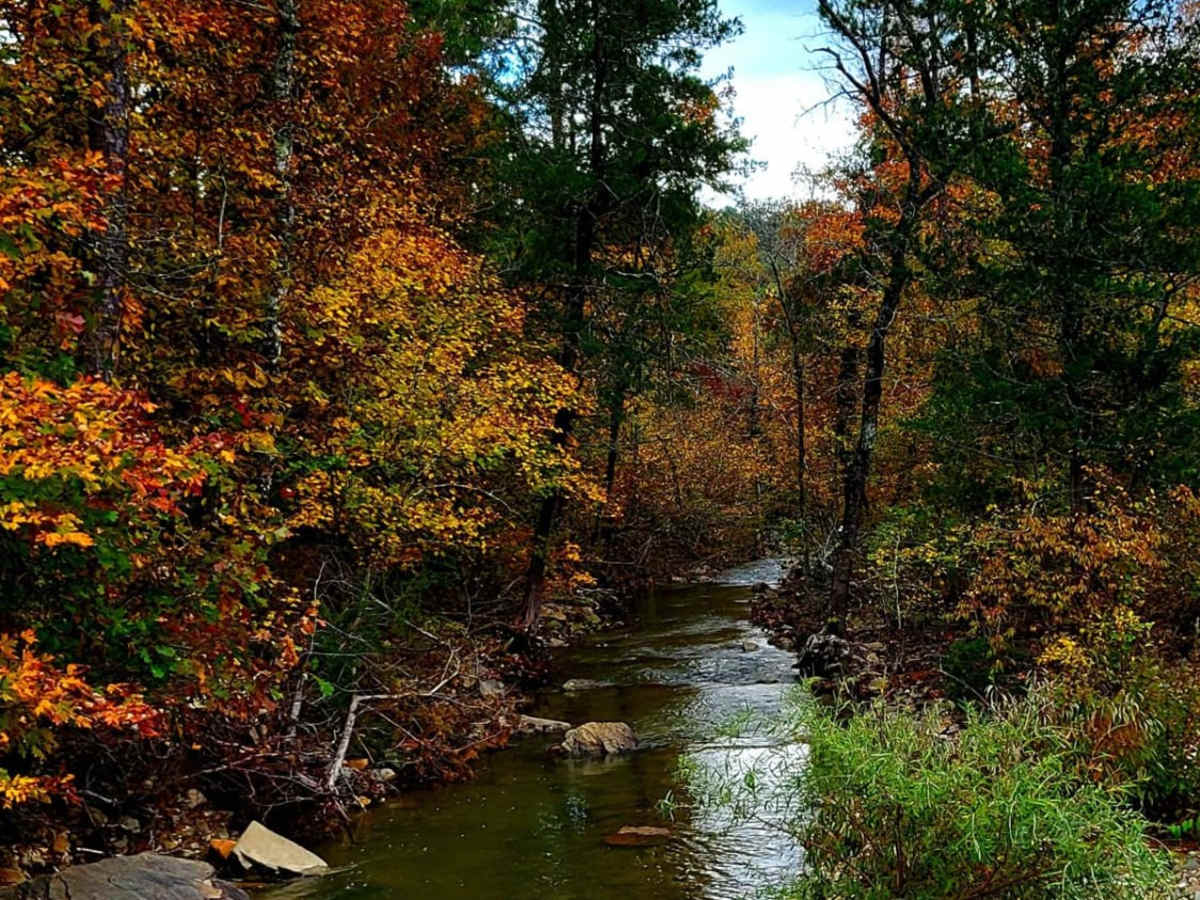 Cedar Creek Trail trail photo