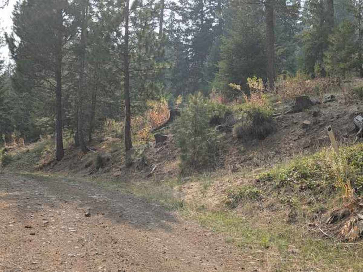 High Creek Road photo 3