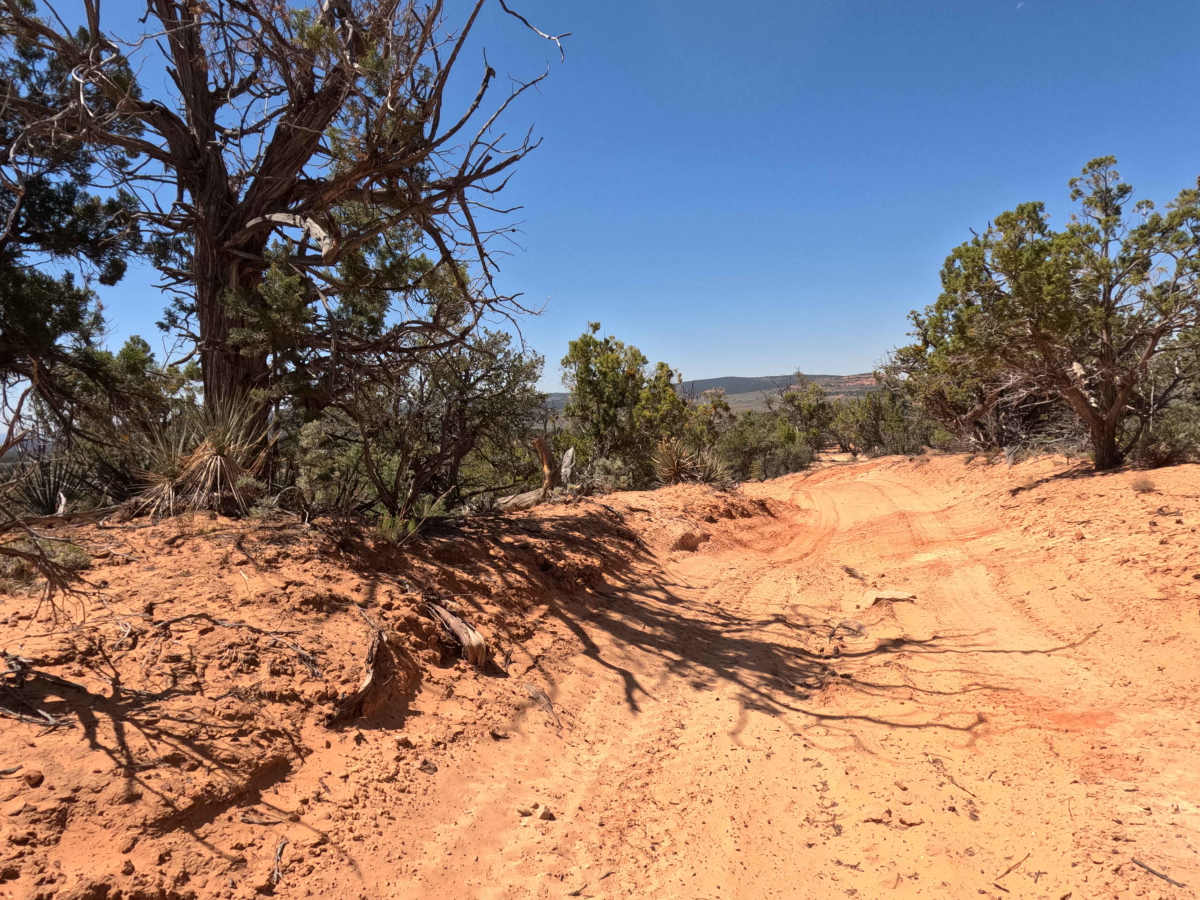 BLM 33B photo 4