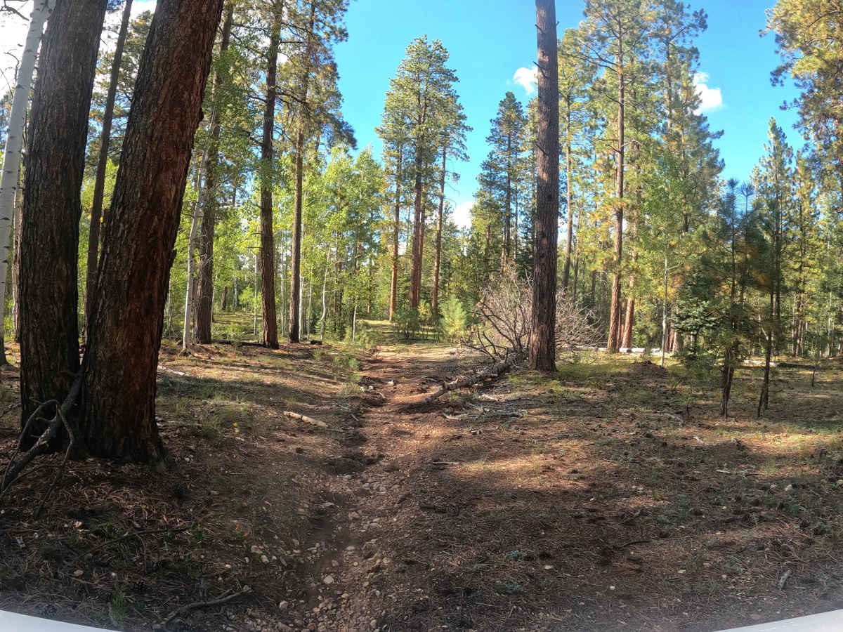 FS 425B trail photo