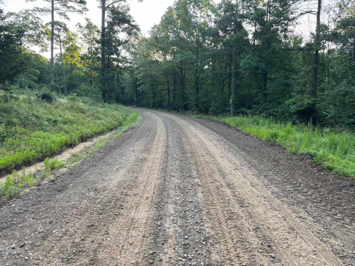 County Road 5419 photo 4