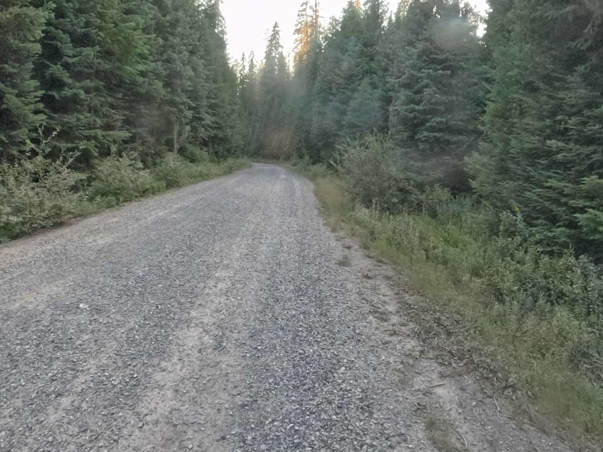 Lava Lake Road - FS 2067000  photo 2