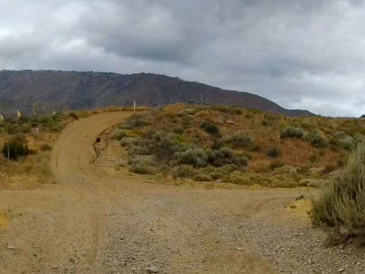 Meadows Trail photo 5