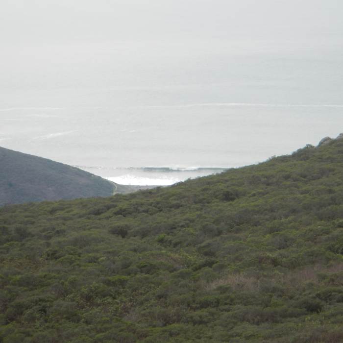 Near Dias Ridge Trail