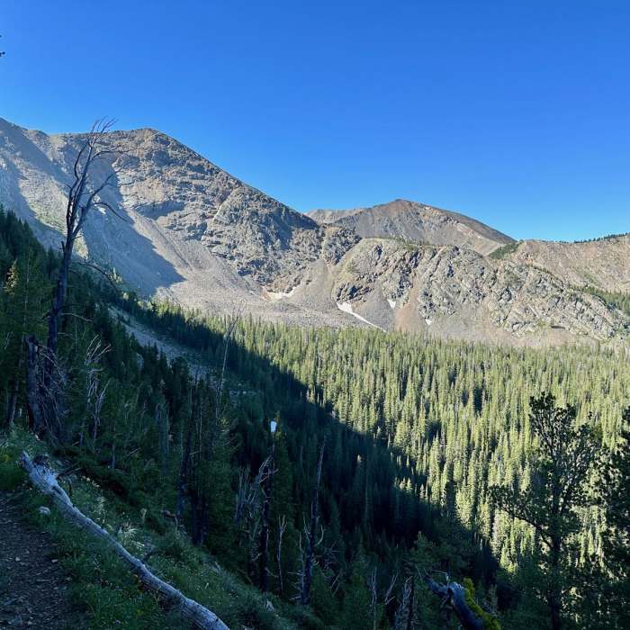 Near Continental Divide Trail: Montana-Idaho Section 15
