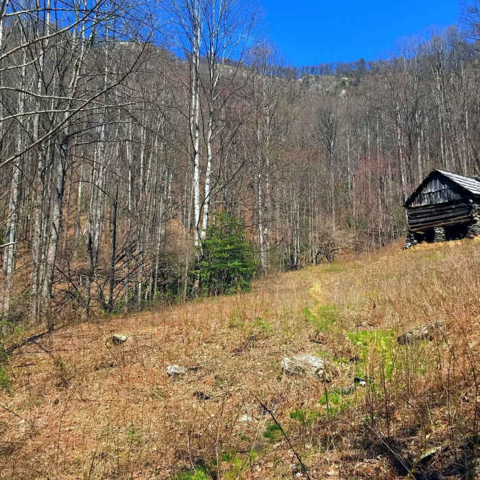 The Caudill Homestead Near Basin Creek Trail