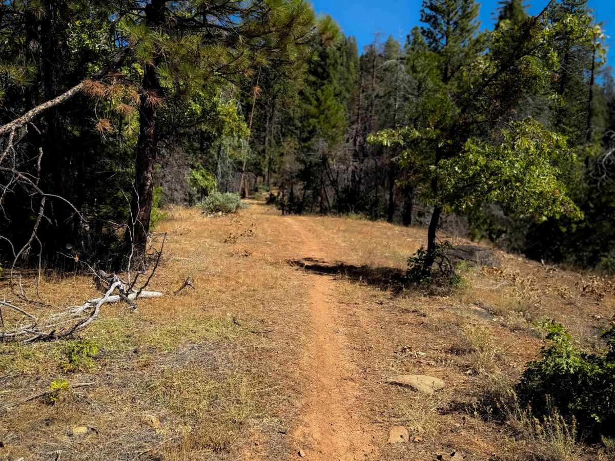 Cashman Ridge  photo 2