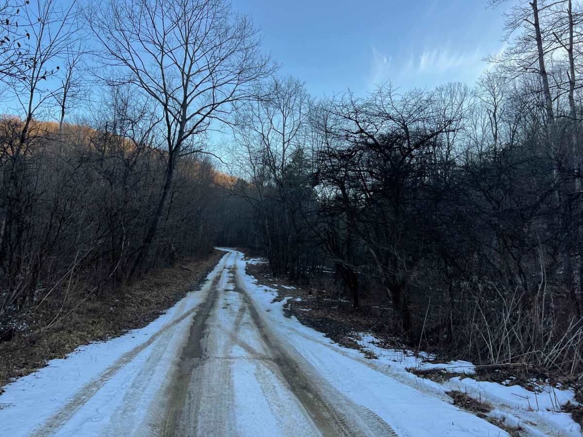 Tyler Road photo 4