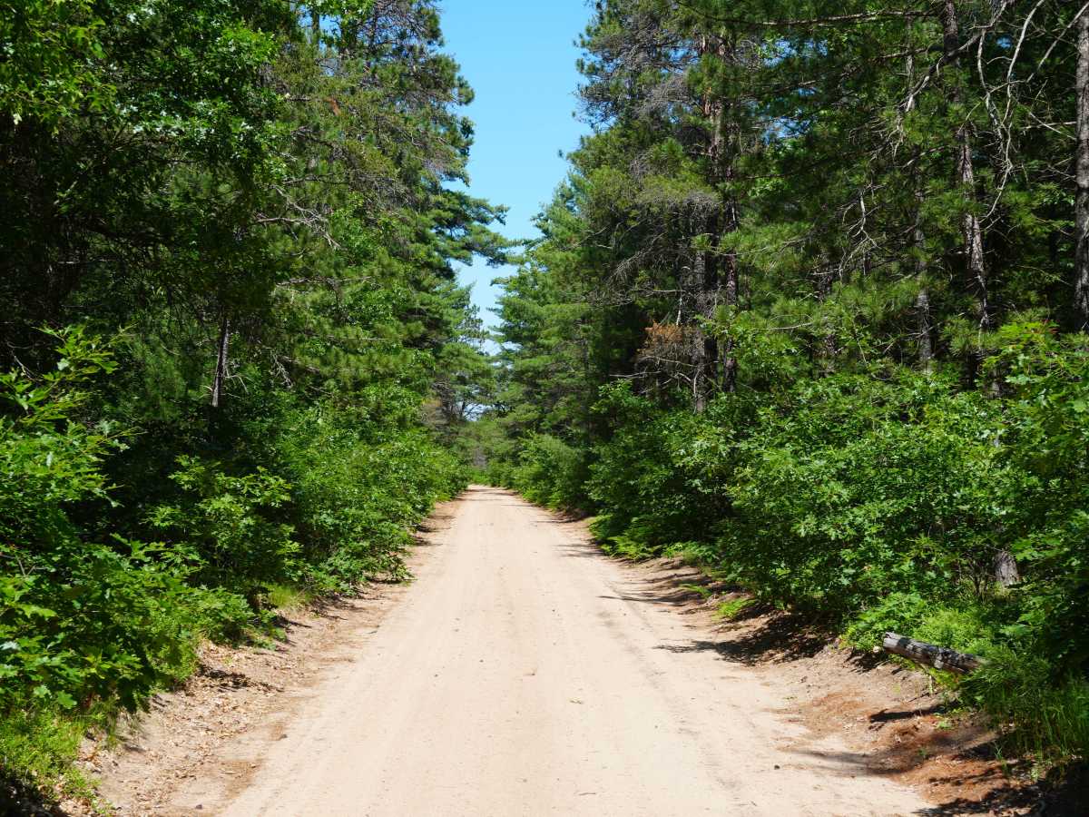 Possum Trail photo 2