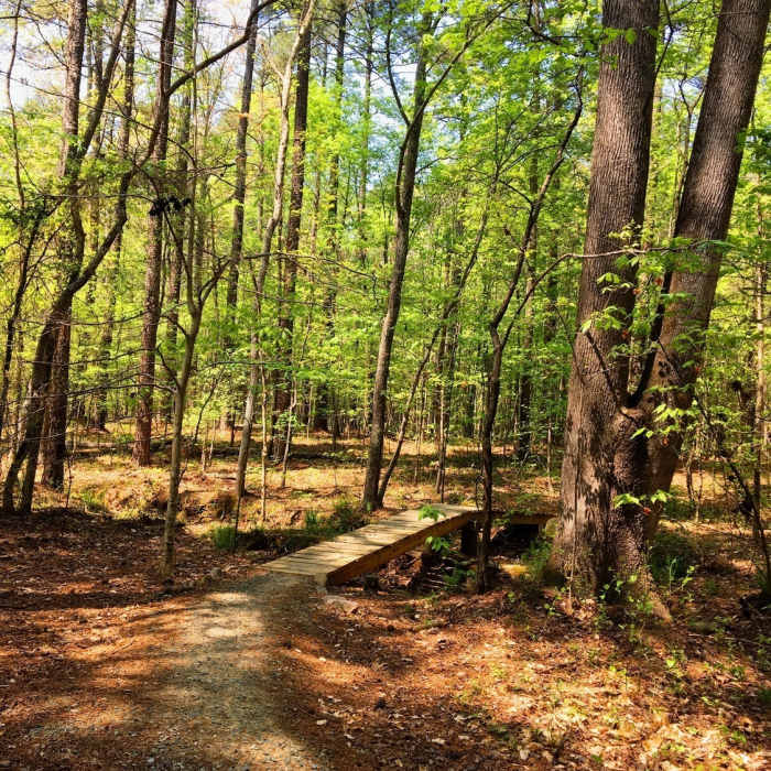 Near Neverland's Inner Loop