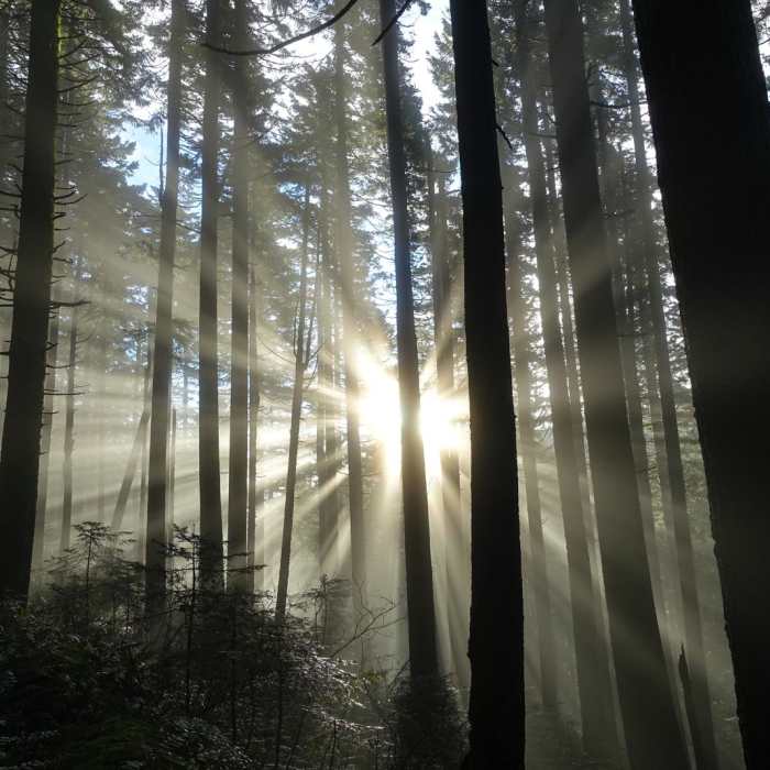 Near Augspurger Mountain