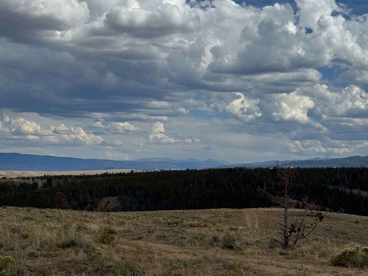 V.B. East Spur photo 6