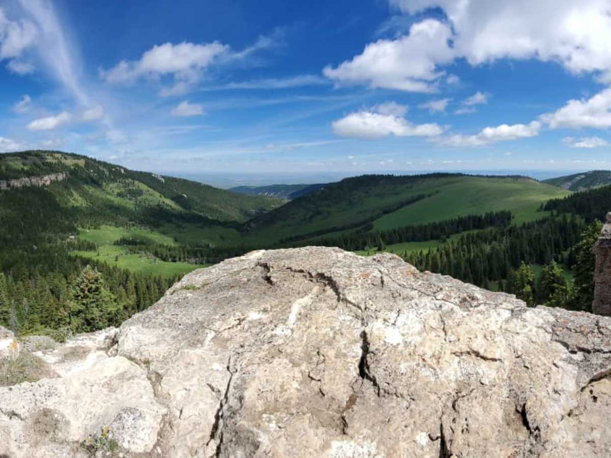 Fools Creek Trails photo 3