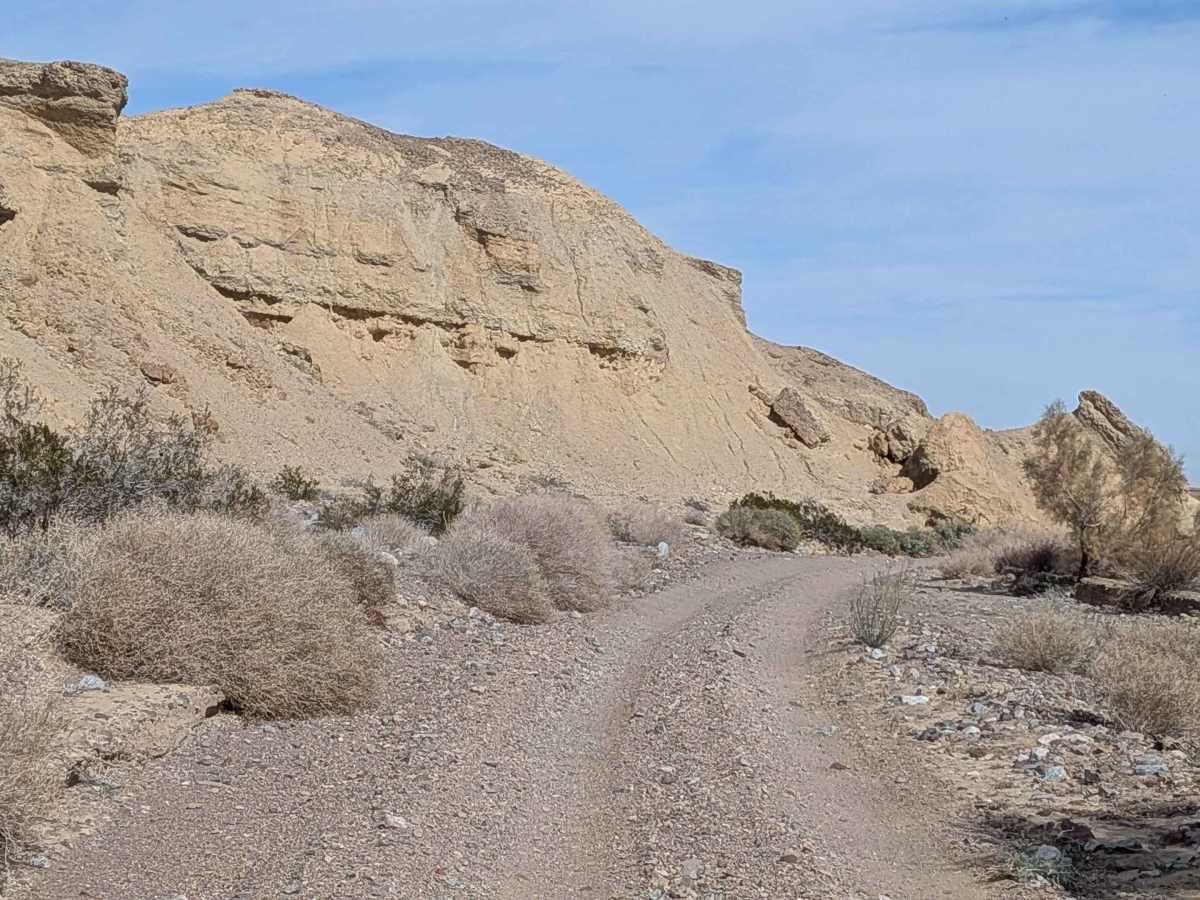 Painted Hills Cutoff photo 6