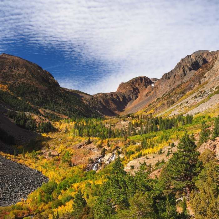Near Lundy Canyon Trail #24E01