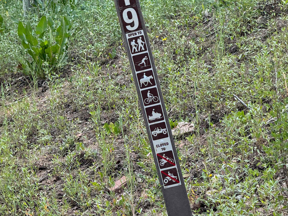 FS 519 photo 3