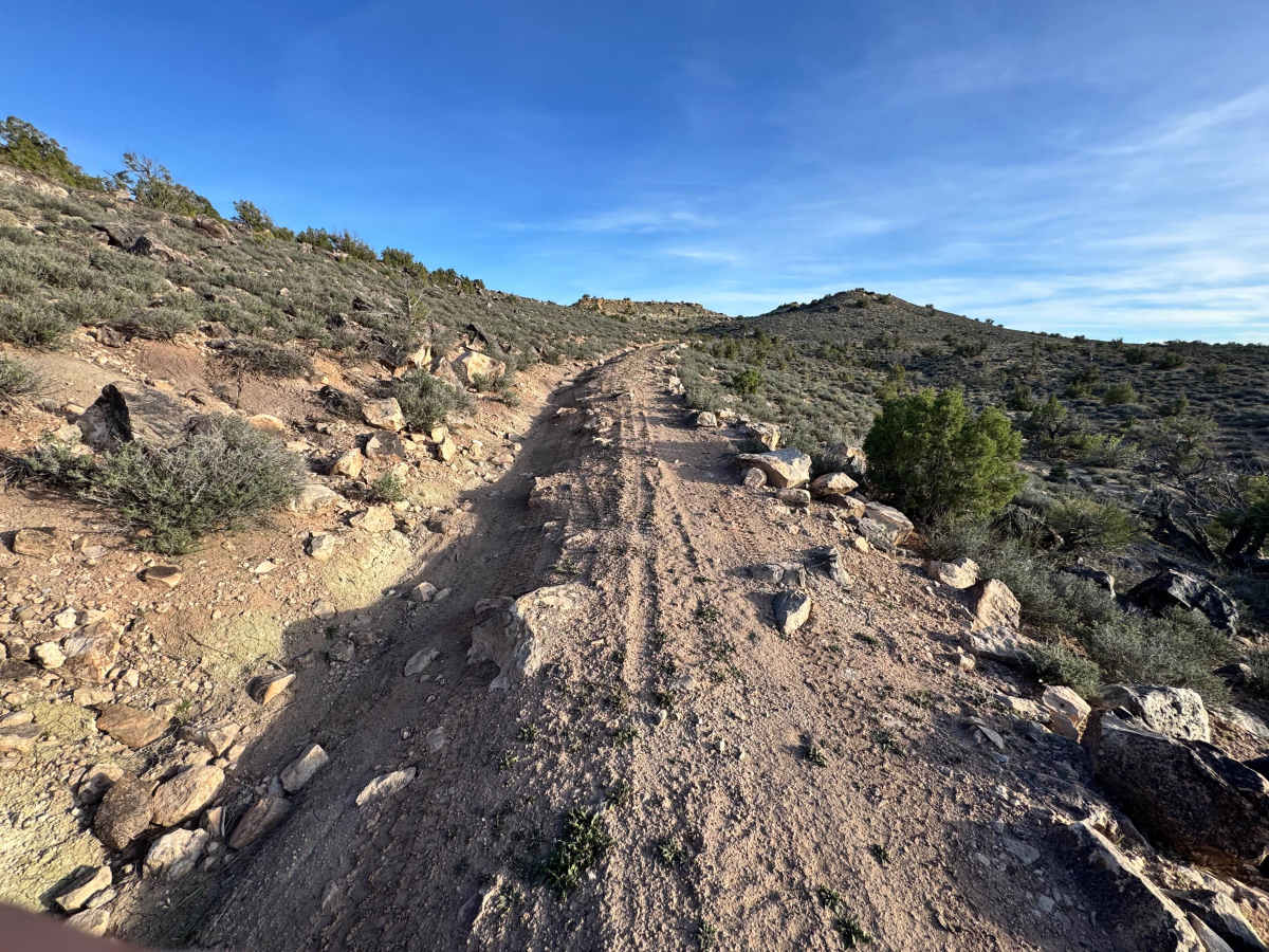 Cactus Rat Hills photo 4