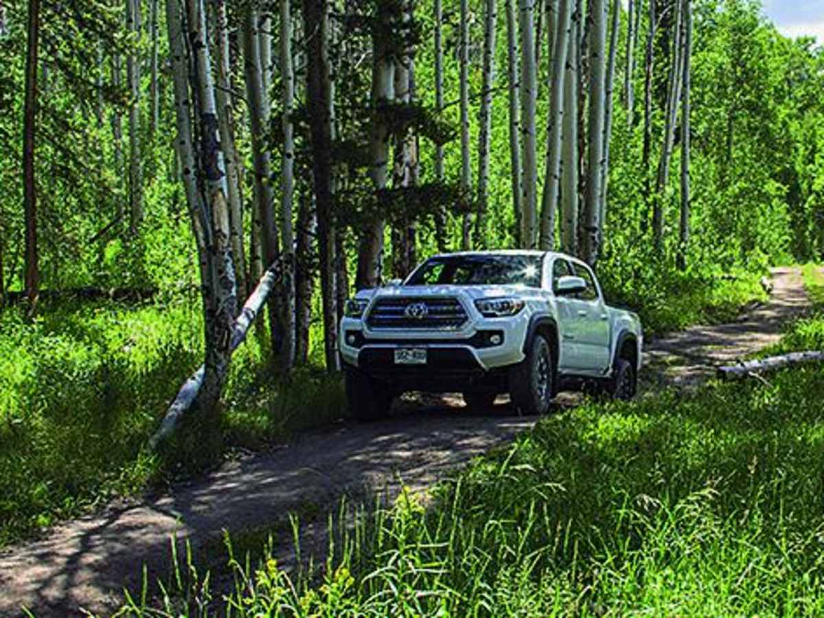 Beaver Creek, Muddy Creek photo 4