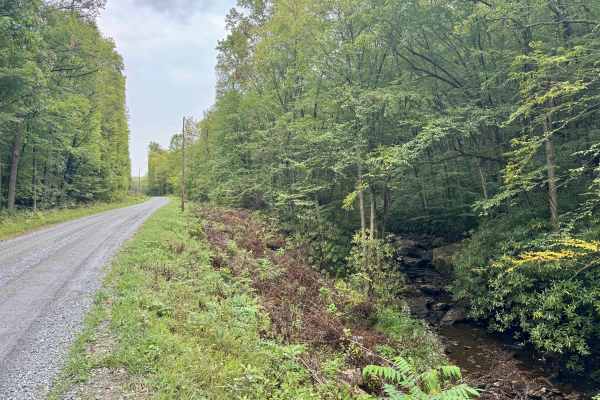 Jack Dent Road