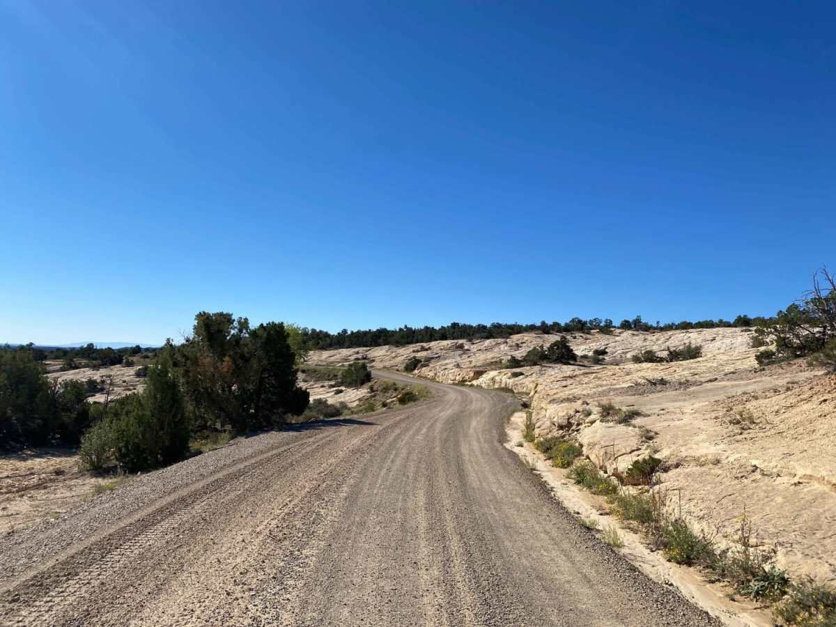 South Elks Road photo 6