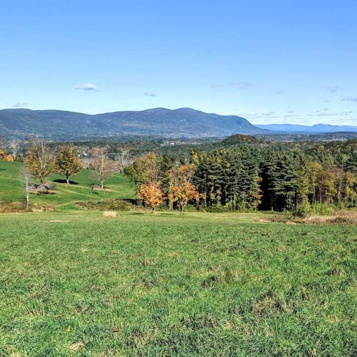 Near Rand's View Out and Back