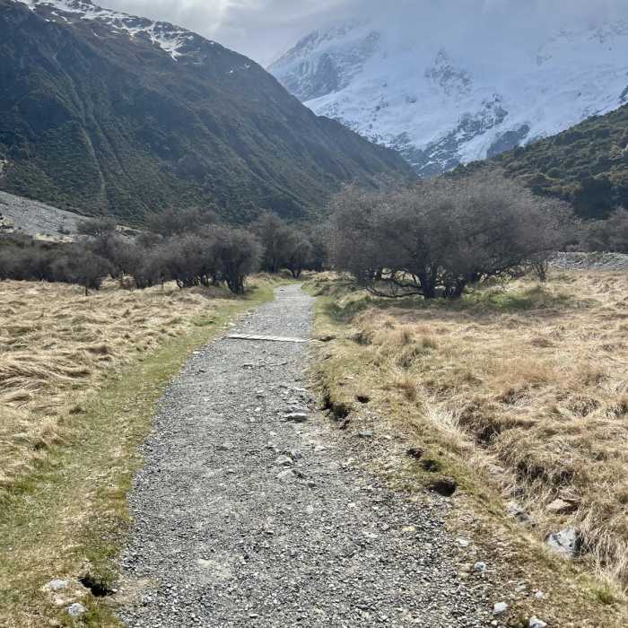 Near Kea Point Track Near Kea Point Track