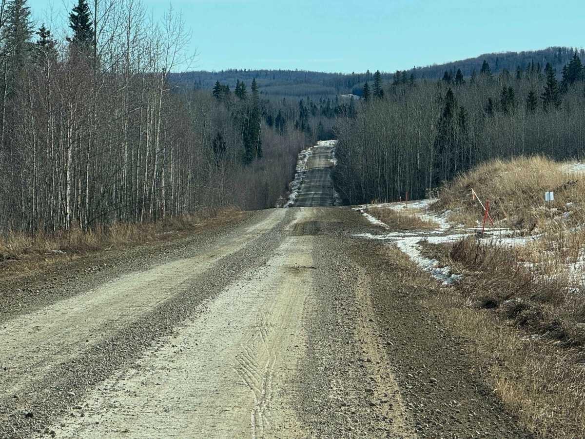 Rose Creek photo 4