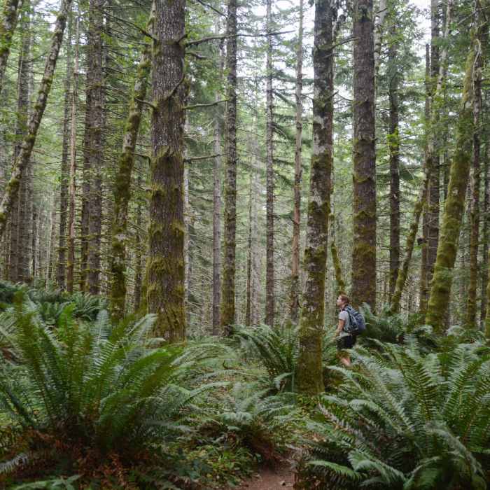 Near Kings Mountain Trail