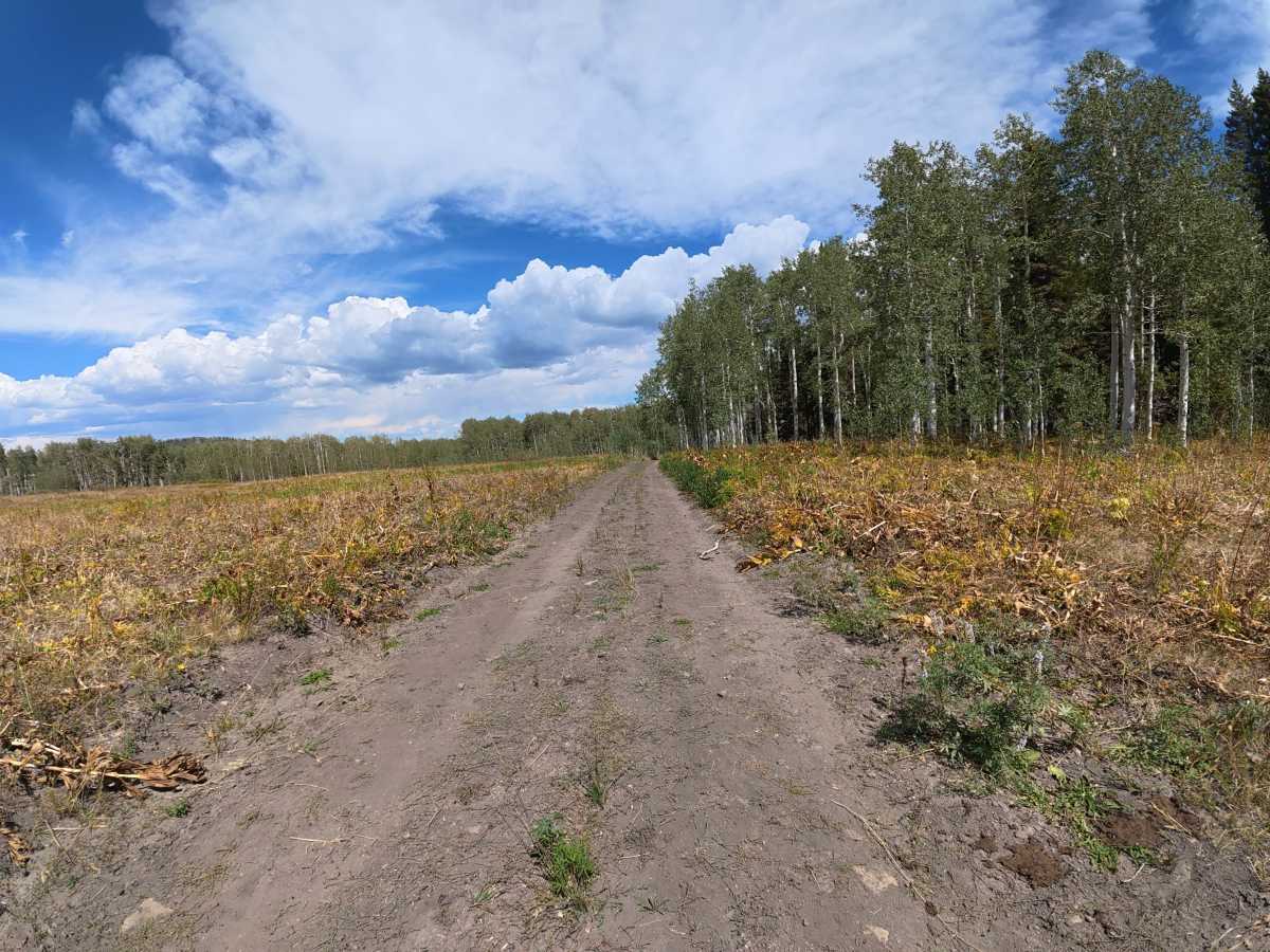 Bear Pen Road photo 2