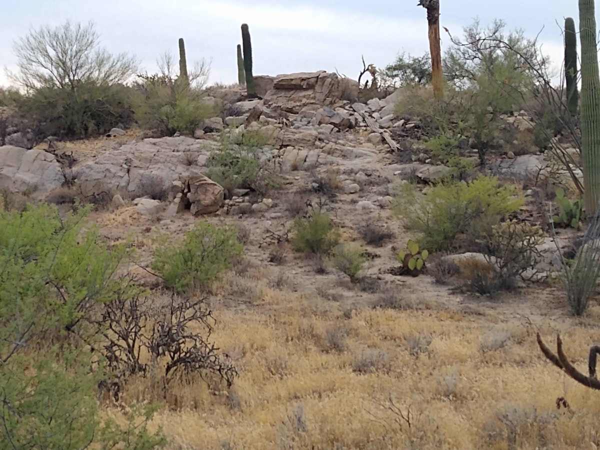96 Hills Trail photo 6