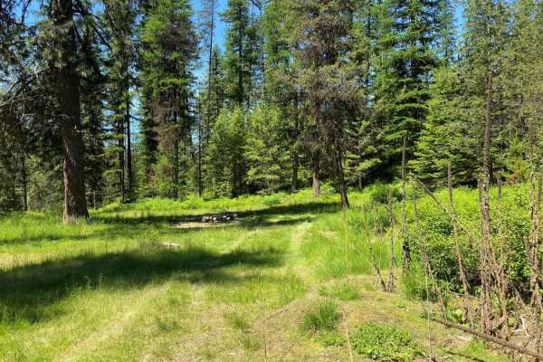 Hartill Meadows