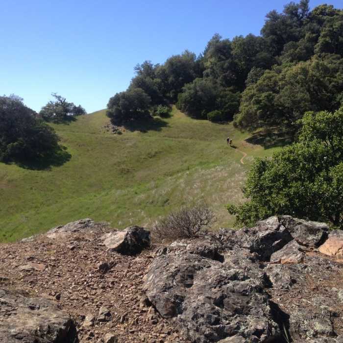 Near Bald Mountain Loop