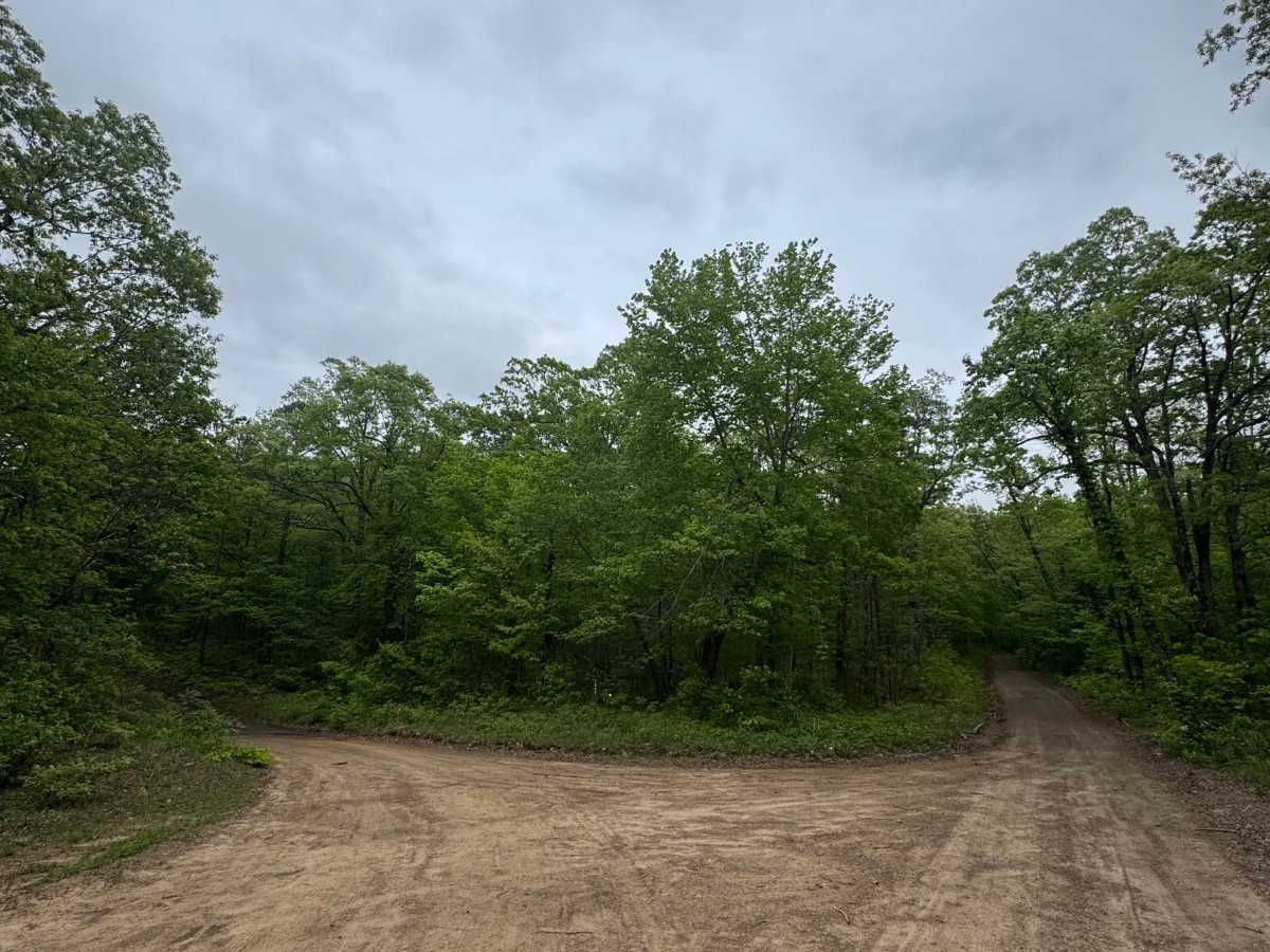 Sulphur Road photo 6