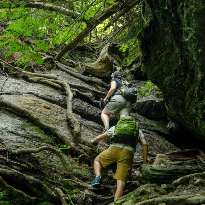 Near Mount Mansfield via Hell Brook + Long Trails Near Mount Mansfield via Hell Brook + Long Trails