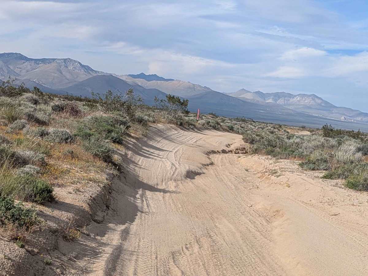 BLM SC5 Dove Springs OHV North photo 5