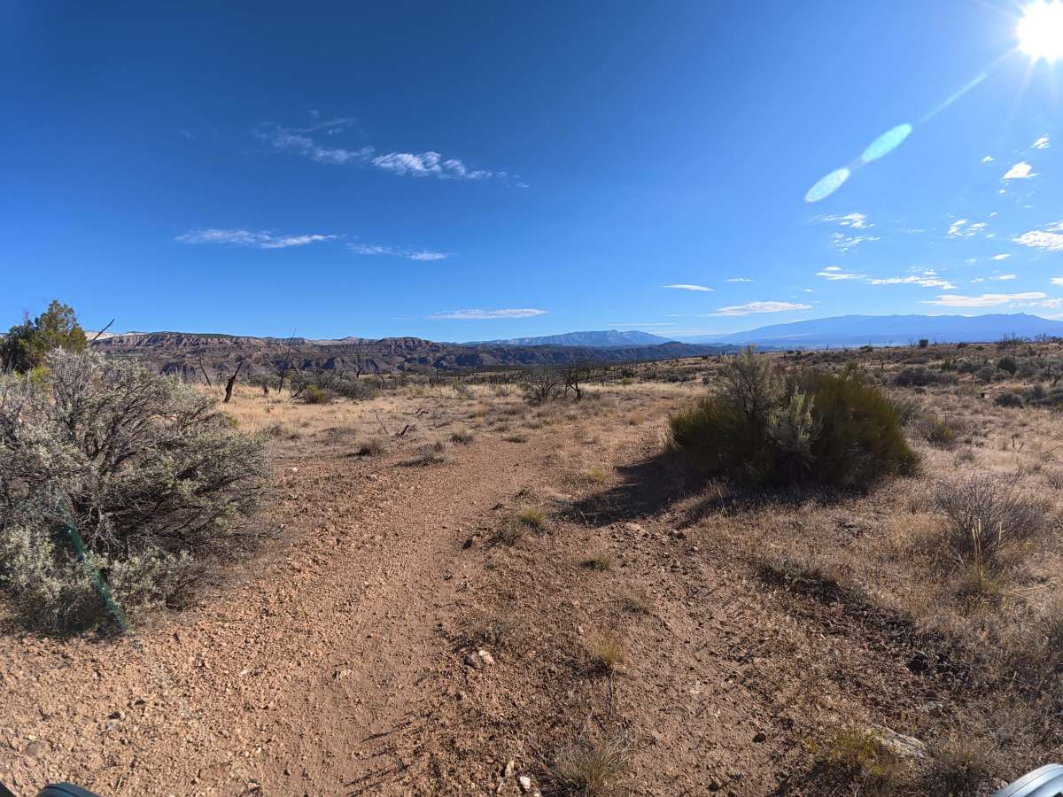 BLM 286A photo 2