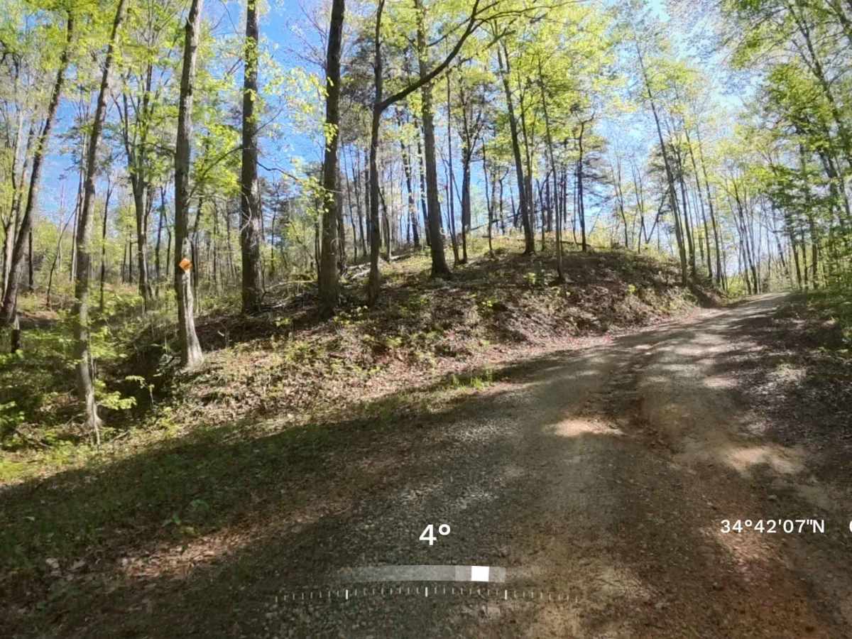 Forest Road 752B photo 6