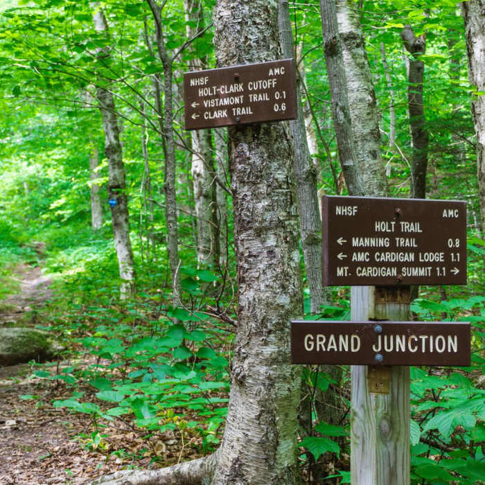 Near Mount Cardigan via the Holt Trail Loop