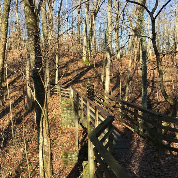 Near Earthworks Trail Alternate Start