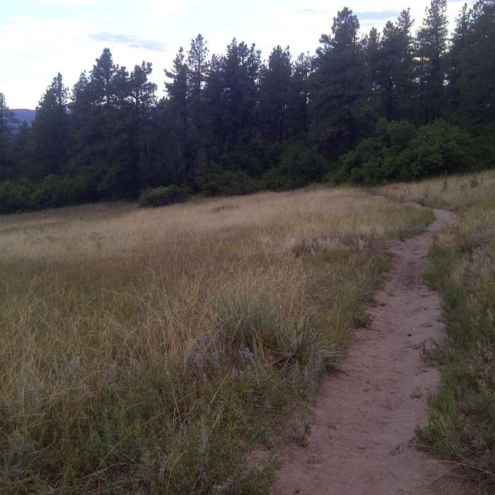 Near Dawson Butte Open Space Trail