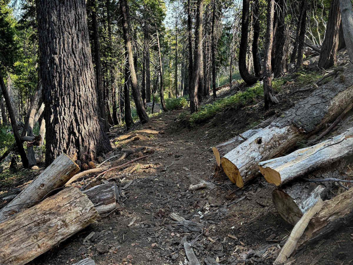 18EV56  trail photo