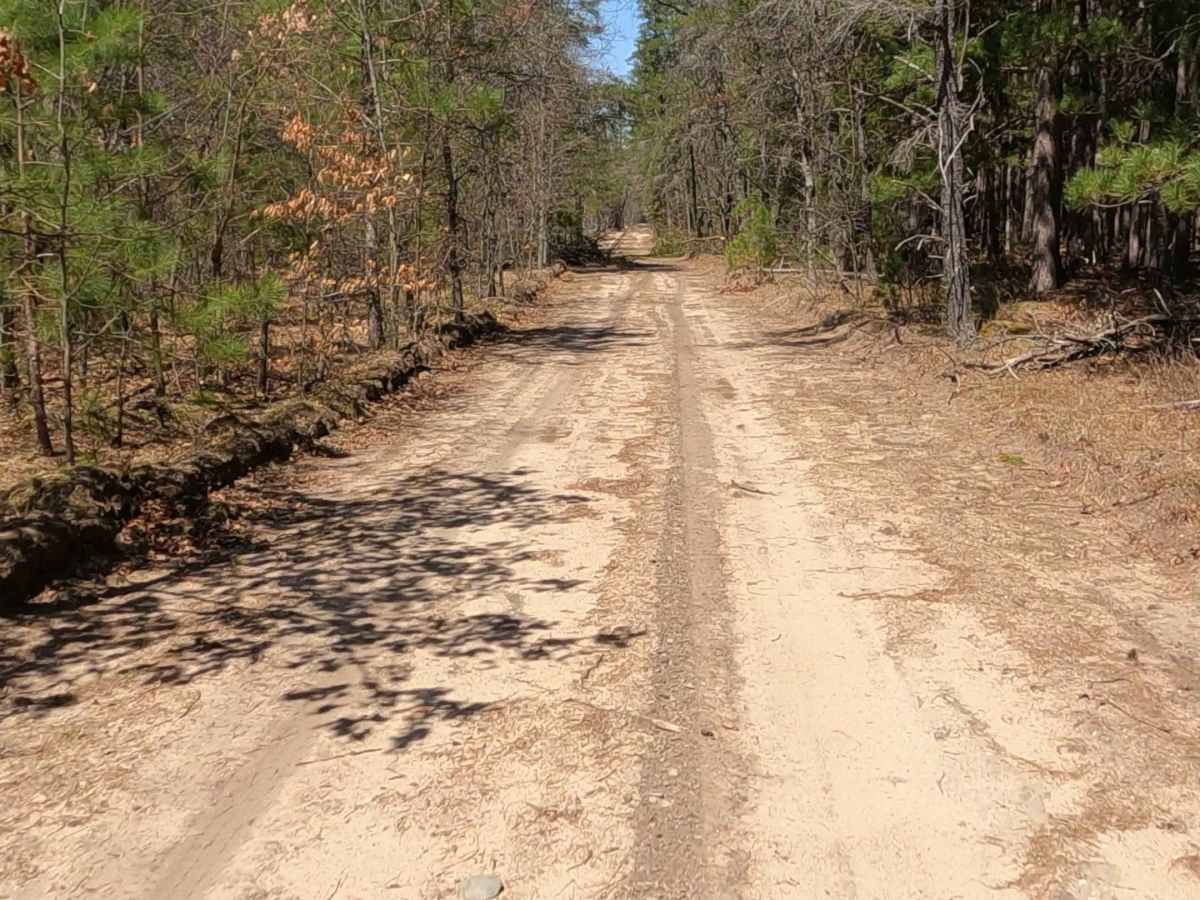Smith Creek - FS 4779 photo 6
