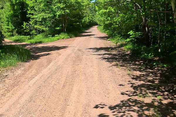 Pinery Road