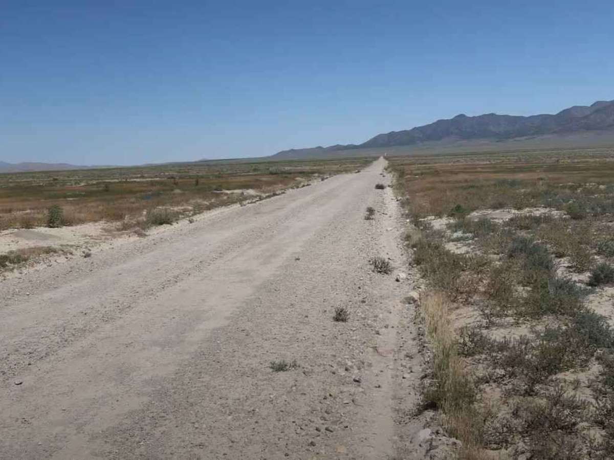 Judd Road Petroglyph Site photo 2